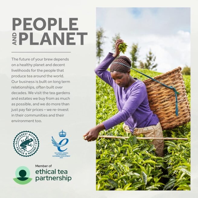 Yorkshire Tea, Total 1040 Tea Bags, (Pack of 3.25 kg)